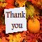 Special Thanks On Thanksgiving.
