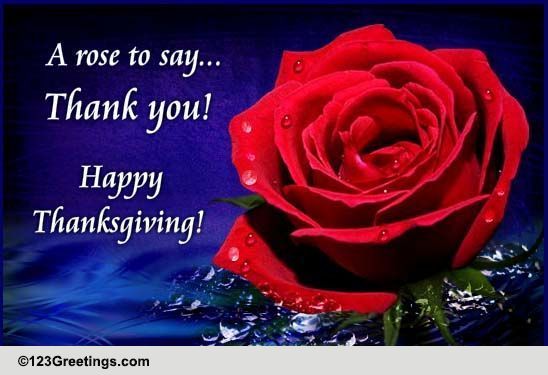 Thanksgiving Thank You Rose! Free Thank You eCards, Greeting Cards ...