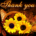 Thank You On Thanksgiving!