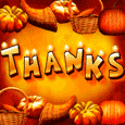 Thanksgiving Thanks!