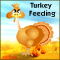 Stuff A Thanksgiving Turkey!