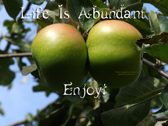 Life Is Abundant.
