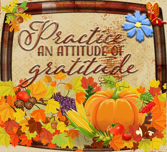 Practice An Attitude Of Gratitude.