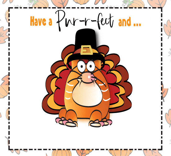 Have A Pur-r-r-fect Thanksgiving.