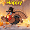 Best Wishes On Happy Thanksgiving!