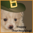 Lighthearted Happy Thanksgiving Wish!