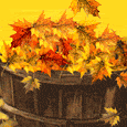 Joy &apos;N Happiness On Thanksgiving!