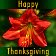 Special Thanksgiving Moments!