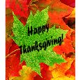 Special Thanksgiving Wish!