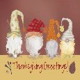 Funny Gnome Thanksgiving Greetings.
