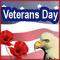 Veterans Day Appreciation...