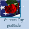 Veterans Day Gratitude...