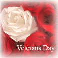 Warm Wishes On Veterans Day.