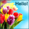 Say 'Hello' With Flowers.
