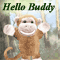 Hello Buddy!