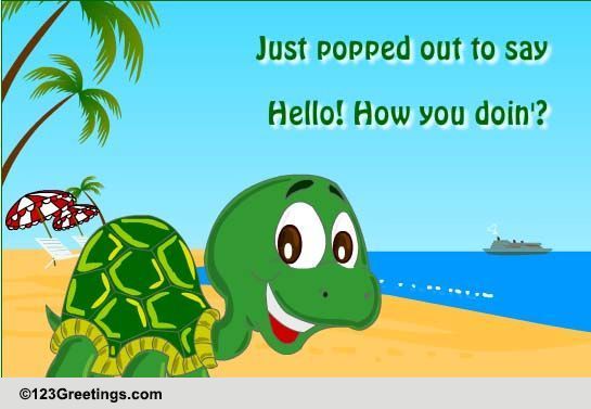 Hello!