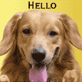 A Cute Hello!