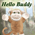 Hello Buddy!