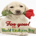 Your Kindness To Me...