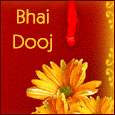 Celebrate Our Bond...