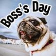 Warmest Wishes On Boss’s Day!