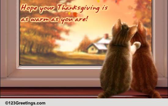 Thanksgiving Warm Wish For Friend.