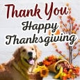 Perfect Thanksgiving Thank You Wishes.