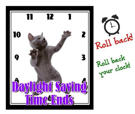 Cat Tells You To Roll Back Your Clock!