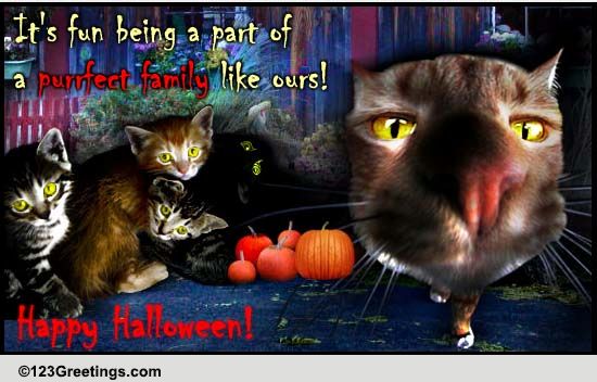 A Purrfect Halloween!