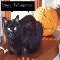 Spooky Black Cat Halloween.