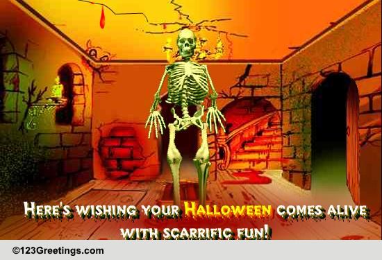 Inside The Halloween Haunted House...