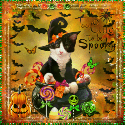 Too Cute To Be Spooky...