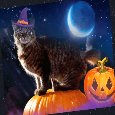 A Fun And Spooky Halloween!