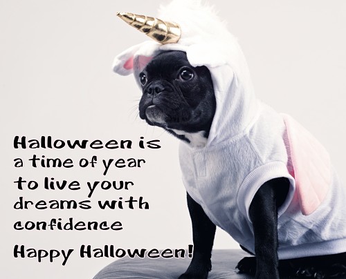 Live Your Dreams On Halloween.