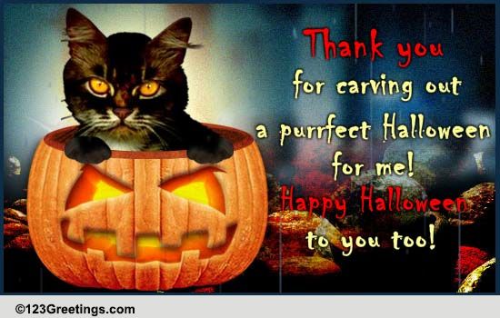 Thank You For A Purrfect Halloween!