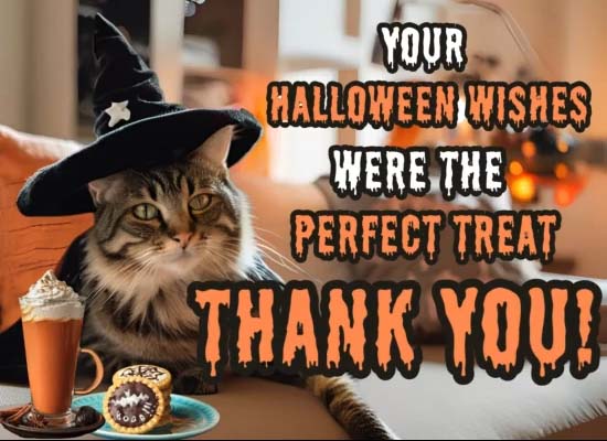 Your Wishes Were A Perfect Treat.