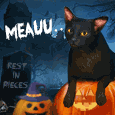Meauuu Says Spook-Cat-Ular Thank You!