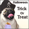 Halloween Trick Or Treat!