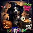 Happy Haunting!