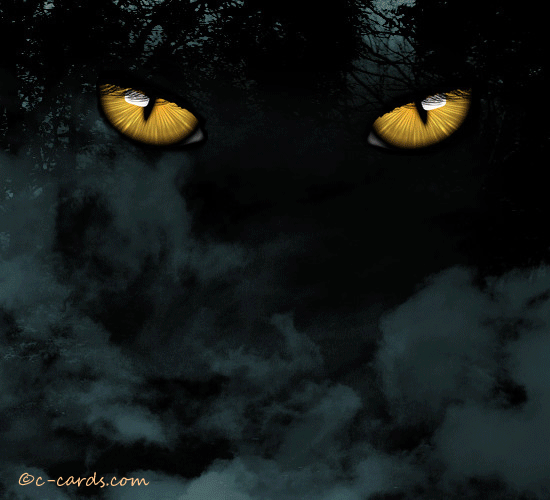 Halloween Black Cat’s Delight.