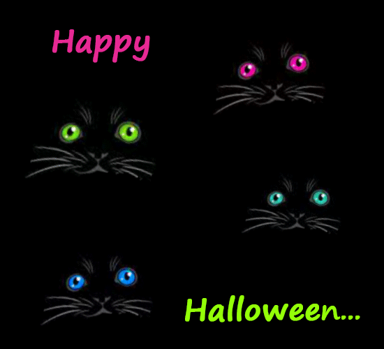 Meow.. Halloween Black Cat’s...