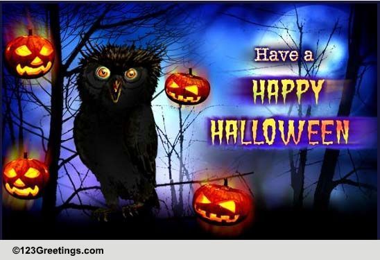 Hooting A Halloween Wish!