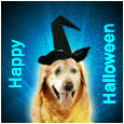 Happy Halloween Treat!