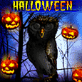 Hooting A Halloween Wish!