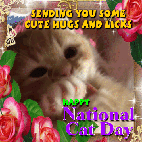 Cute Hugs And Licks For You!