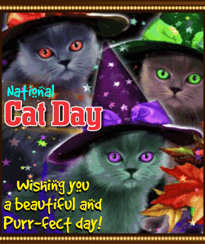 My Beautiful National Cat Day Ecard.