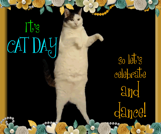 A Funny Cat Day Card For You.