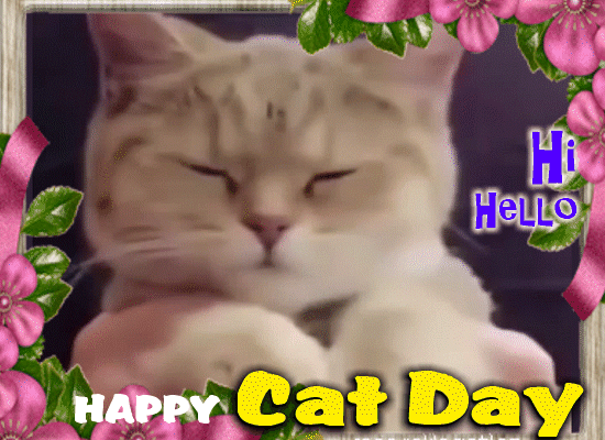 A Cute Cat Day Card For You.