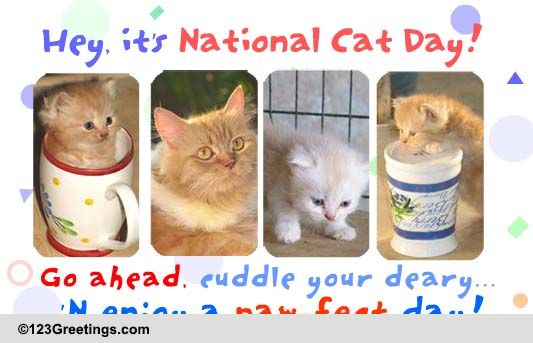 National Cat Day Cards, Free National Cat Day Wishes, Greeting Cards ...
