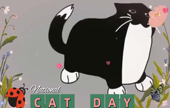 I’m A Happy Cat! Free National Cat Day eCards, Greeting Cards | 123 ...